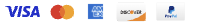 We accept Visa, Mastercard, American Express, Discover, and PayPal